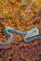 Aerial view of a scenic road trough the forest in fall season