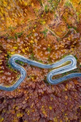 Foto op Aluminium Aerial view of a scenic road trough the forest in fall season © Calin Stan