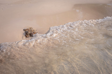 Small waves lapped the beach