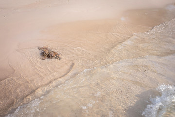Small waves lapped the beach