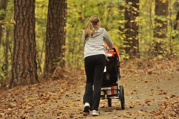Fototapeta premium A young mother pushes a stroller through the woods with Autumn foliage