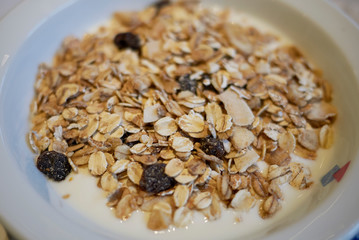 Yogurt with granola
