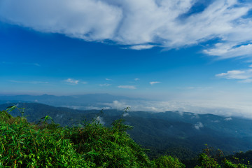 Blue sky and cloud with meadow tree. Plain landscape background for summer poster of thailand.