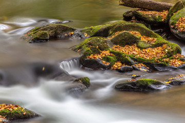 Klainer Wasserfall in gün bemossten Steinen