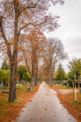 Road inside the Central Cemetery of Vienna, Austria