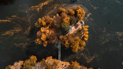 Obraz na płótnie Canvas Aerial view of the beautiful autumn orange landscape park with a pond and a bridge to a romantic island with a gazebo and a flower bed in the shape of a heart, Uman, Ukraine