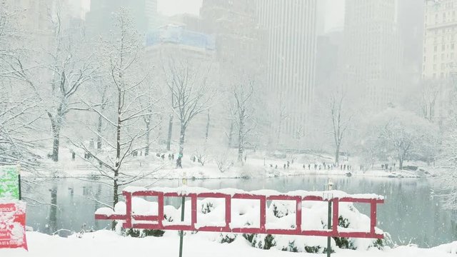 Snowing at Central Park Lake; Cityscape