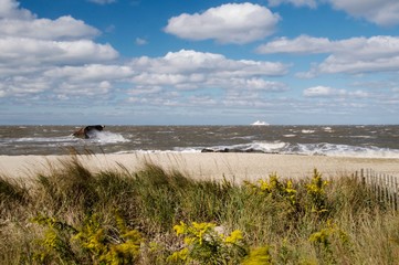 Cape May NJ beach in the fall. The picture shows long grass blowing in the heavy winds in the foreground, with the wreckage of the SS Antlanus and a distant cruise ship in the stormy waters. 