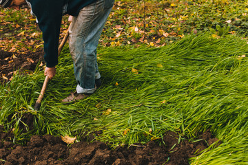 Man digging the garden. Spud the soil. Man digs a hole to plant a tree. Man loosens dirt in the...