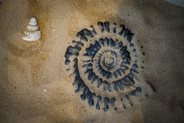 Fossil Ammonite for fuel and gas industry