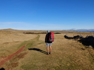 Randonnée en aubrac dans la steppe