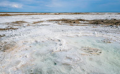 The stones are covered with a crust of salt on the shores of the salar Baskunchak. Extraction of salt
