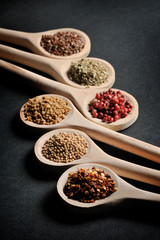 Various of spices in wooden spoons