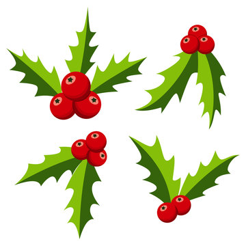 Christmas holly berry set. Mistletoe with leaves vector flat icon isolated on a white background.