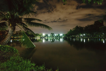 City park in the night with a resting place. The landscape of the city park in the winter.