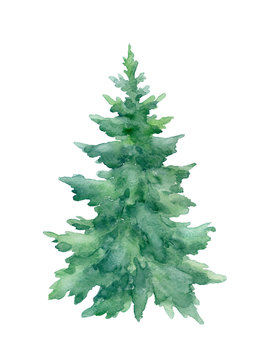 Christmas tree isolated on white background.Watercolor illustration..