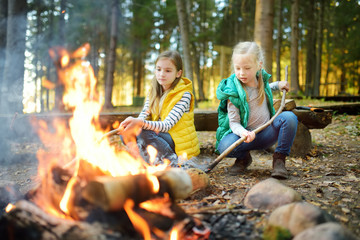 Cute little sisters roasting hotdogs on sticks at bonfire. Children having fun at camp fire. Camping with kids in fall forest.