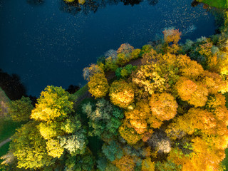 Naklejka na ściany i meble Birds eye view of autumn forest and a small lake. Aerial colorful forest scene in autumn with orange and yellow foliage.