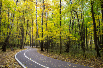 Obraz premium Moscow warm October 2018