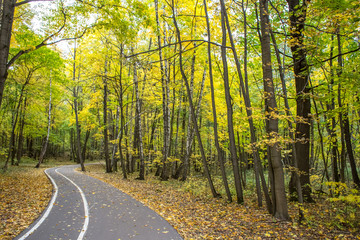 Moscow warm October 2018