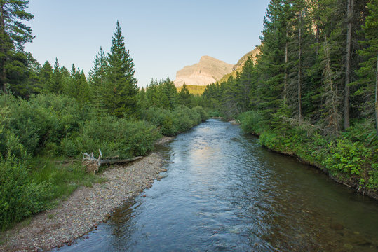 รูปภาพGrinnel – เลือกดูภาพถ่ายสต็อก เวกเตอร์ และวิดีโอ159 | Adobe Stock