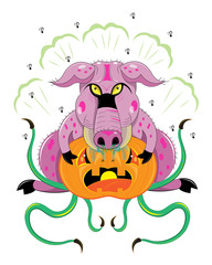 The pig eats orange pumpkin
