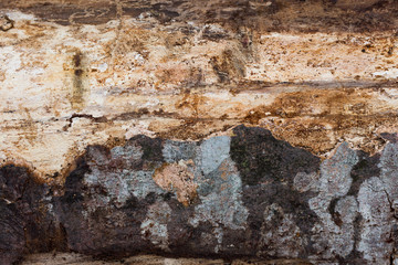 Old wood backdrop