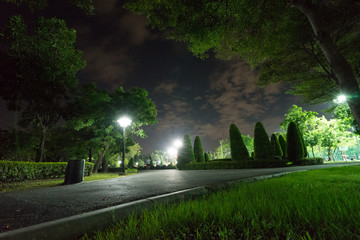 City park in the night with a resting place. The landscape of the city park in the winter.