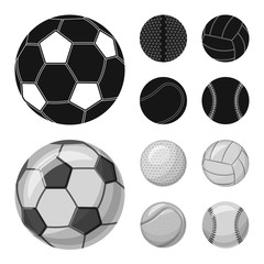 Vector illustration of sport and ball logo. Set of sport and athletic vector icon for stock.