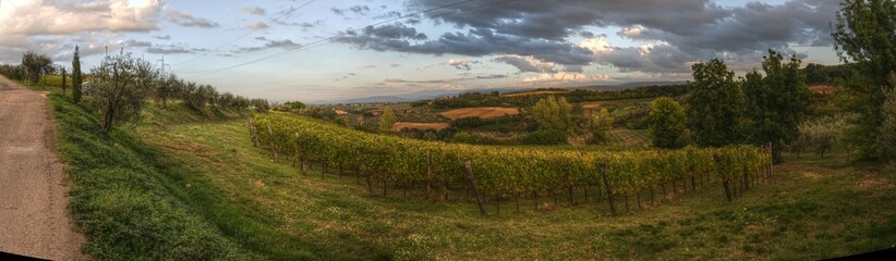 Fototapeta na wymiar Rural landscape of Tuscany, close to Montespertoli, region of Florence