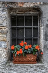 Fototapeta na wymiar Barred window and flower box in barn wall, Cabbio in rural Ticino (Italian Switzerland)
