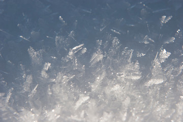 Снежные кристаллы / Snow crystal