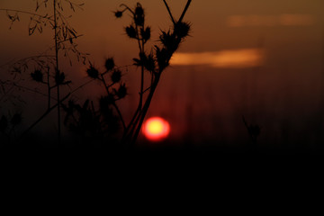 Último atardecer 2016