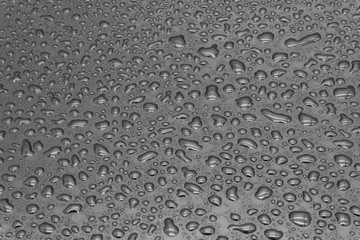 Water drops on a black background, closeup texture