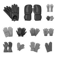 Vector design of glove and winter logo. Collection of glove and equipment stock symbol for web.
