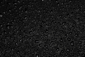 Water drops on a black background, closeup texture