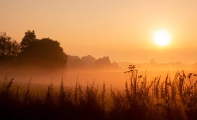 Mystischer Sonnenaufgang - Nebel im September © UlrikeAdam