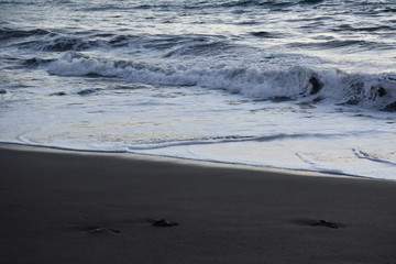 Waves on the shore of the beach