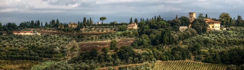 Fototapeta na wymiar Rural landscape of Tuscany, Montspertoli, region of Florence