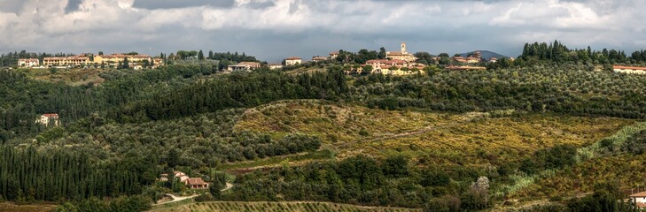 Fototapeta na wymiar Rural landscape of Tuscany, Montspertoli, region of Florence