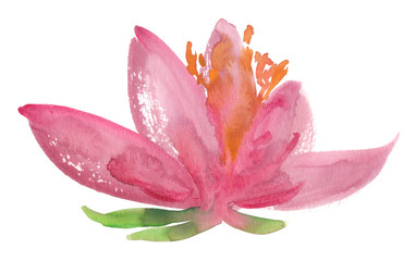 Big pink flower blossom with small green leaves painted in watercolor on clean white background