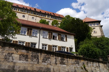 Neckarhalde und Schloss Hohent&uuml;bingen
