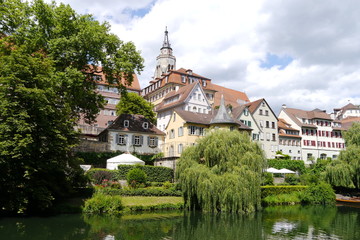 Fototapeta na wymiar Neckarufer mit Trauerweide und Altstadt in Tübingen