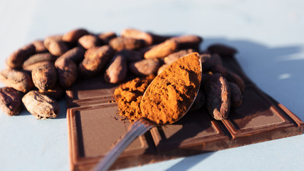 fèves de cacao, poudre et chocolat