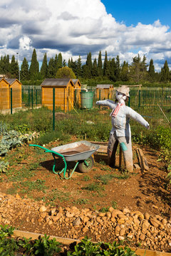 &eacute;pouvantail dans jardin potager