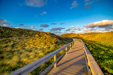 Steg durch die D&uuml;nen