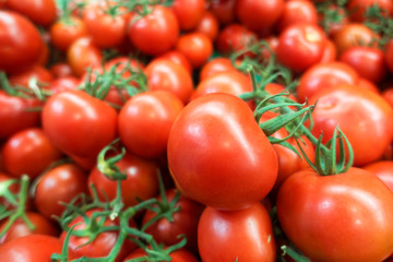 Fresh Organic Tomatoes Background.