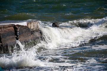 Obraz premium Black Sea