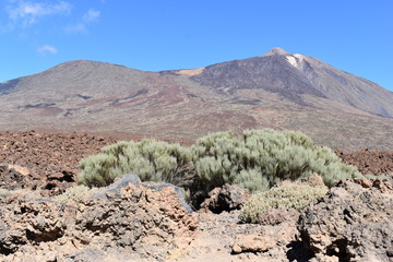 Scenery with Pico Viejo Volcano Mountain and famous volcano Pico del Teide in Tenerife, Europe