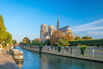 Naklejka premium Piękna Notre Dame de Paris